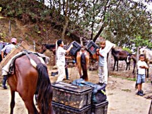 expedición para ver casas remotas