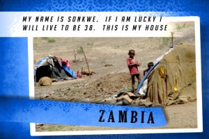 This is MY House in Zambia Blue | Shelter Мир