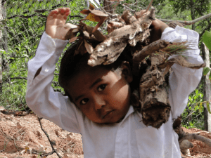 que puede ningún refugio