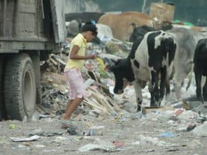 girl working in the dump