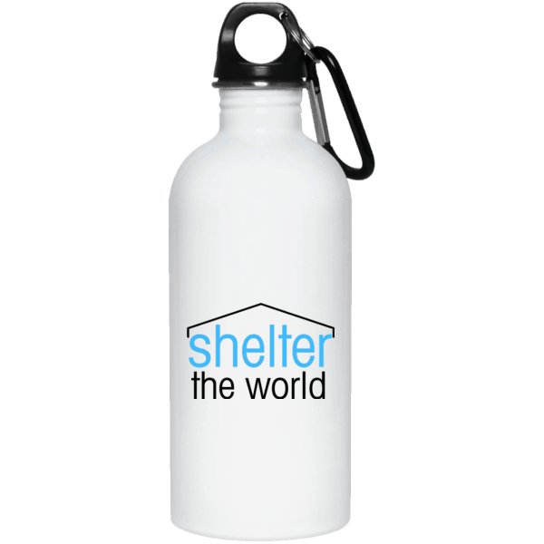 20 oz stainless steel bottle with screw top